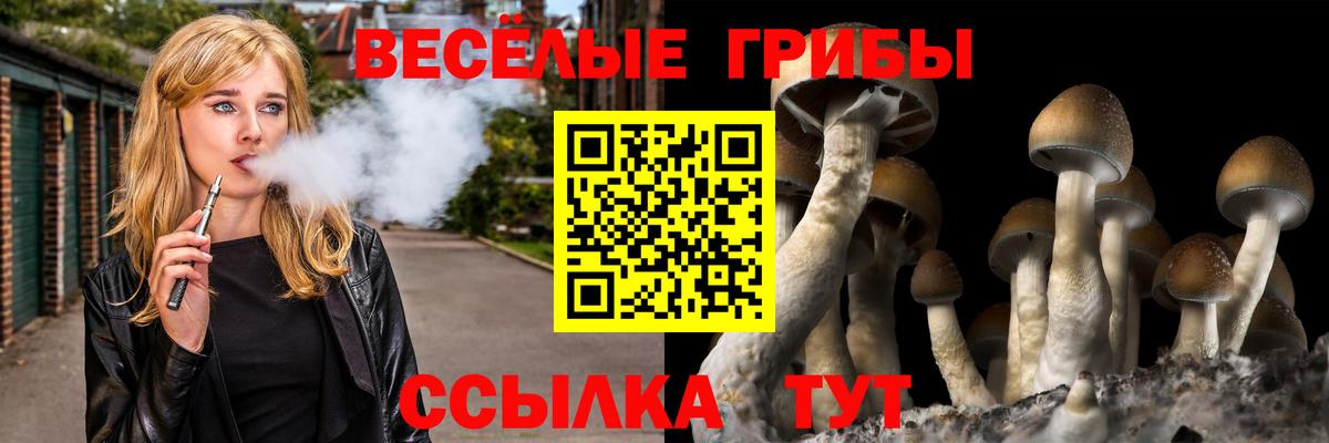 Псилоцибиновые грибы Magic Shrooms Новозыбков