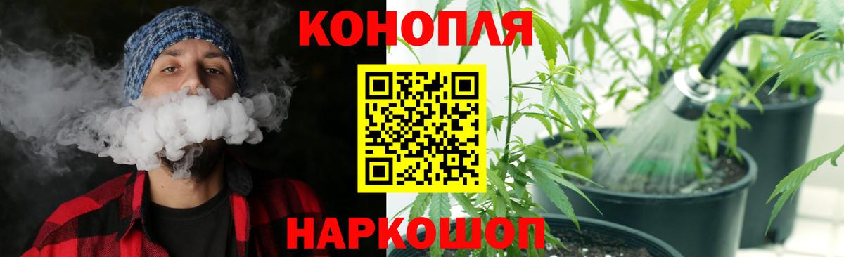 Гашиш Новозыбков
